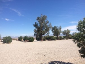 Needles vista3 10-10-15